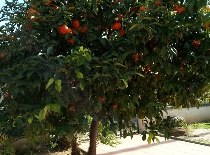 Appartamento Cl Gravina 20