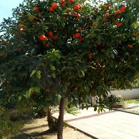 公寓 Cl Gravina 20